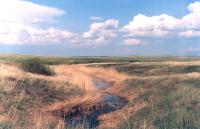  12. �������� ��������� ������ �������� ����